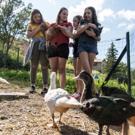 La colo des animaux La colo des animaux