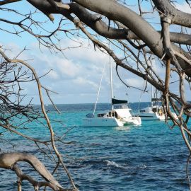 Antilles Les Grenadines - 15 jours