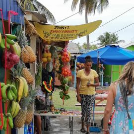 Antilles Les Grenadines - 15 jours Antilles Les Grenadines - 15 jours