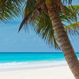 Antilles Les Grenadines - 15 jours Antilles Les Grenadines - 15 jours