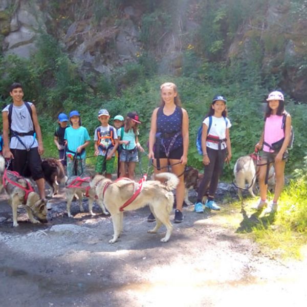 Aventure avec les chiens de traîneau