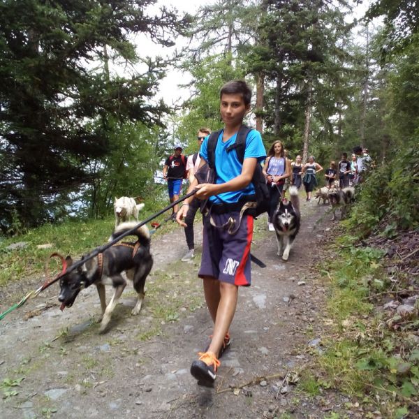 Aventure avec les chiens de traîneau