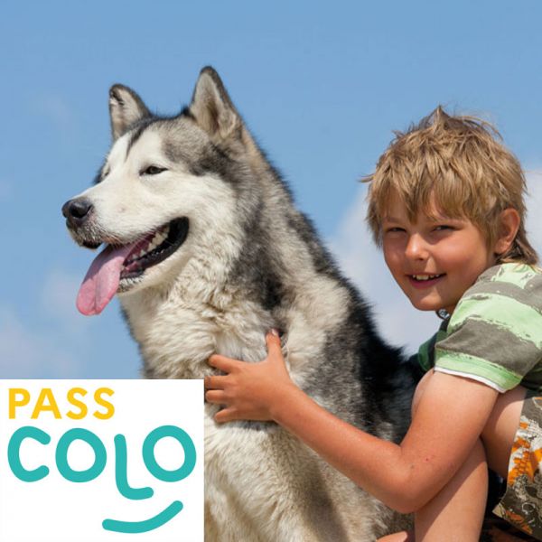 Aventure avec les chiens de traîneau