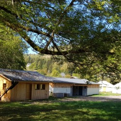 Sanitaires et salle à manger en dur